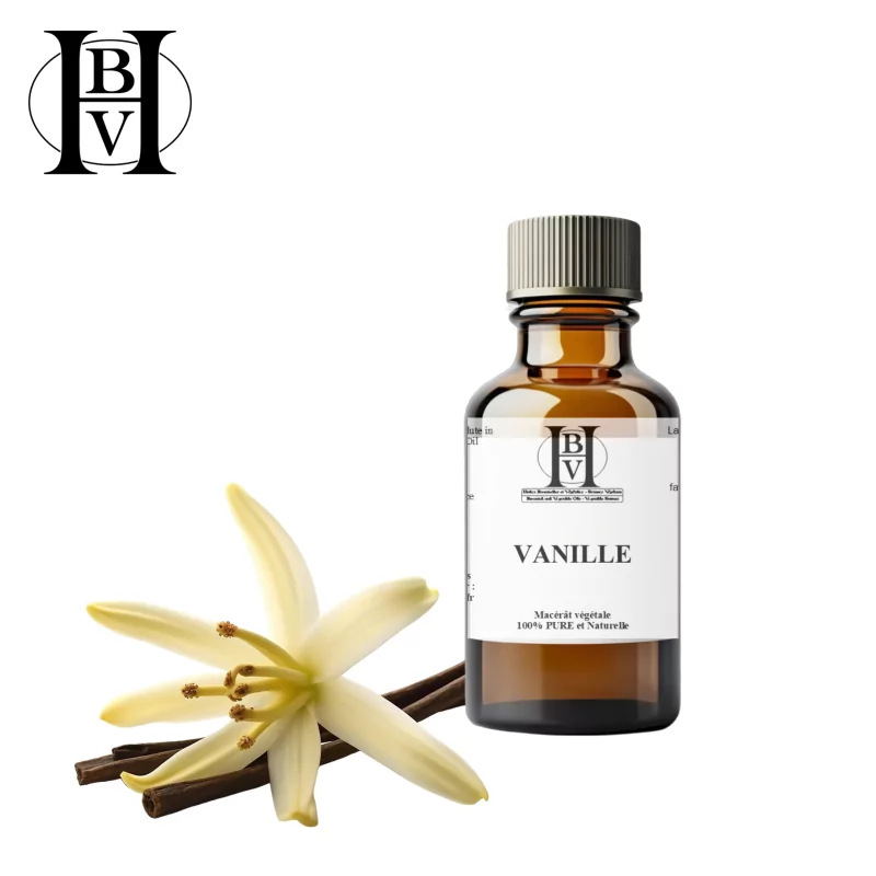 Vanille macérât huileux (Vanilla planifolia) - HBV Huiles et Beurres Vanille macérât huileux (Vanilla planifolia) - HBV Huiles et Beurres