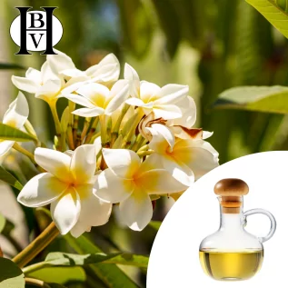 Vanilla oil macerate