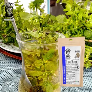 Tilleul Menthe Infusettes - Piss'Mémère