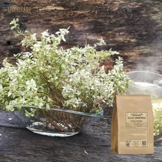 Tam çiçekli akasya (Robinia pseudo acacia) - Apophycaire