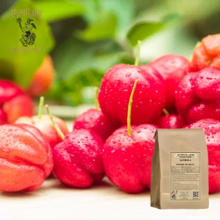 Acerola fruit juice powder (Malpighia punicifolia) - Apophycaire