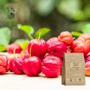 Acerola fruit powder