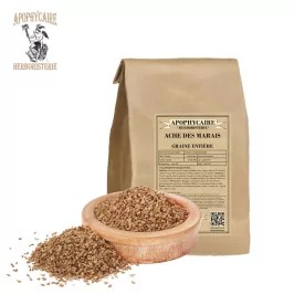 Marsh Avocado Whole Seed (Apium graveolens) - Apophycaire