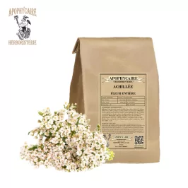 Schafgarbe ganze Blüte (Achillea millefolium) - Apophycaire