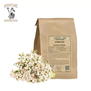 Yarrow bütün çiçek (Achillea millefolium) - Apophycaire