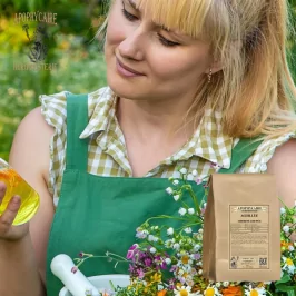 Schafgarben-Schnittkraut (Achillea millefolium) – Apophycaire