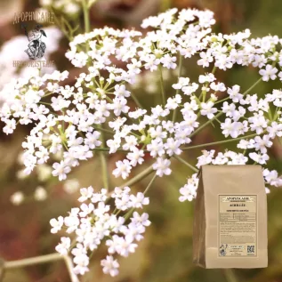 Yarrow Bitkisel Çayı