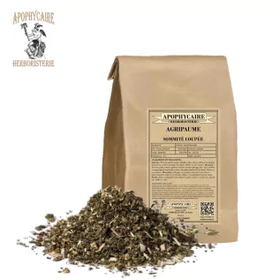 Motherwort cut top (Leonurus cardiaca) - Apophycaire