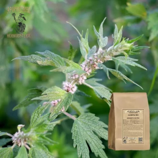 Motherwort Herbal Tea