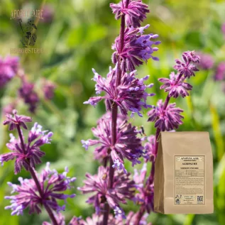 Infusión de agripalma con hojas en polvo