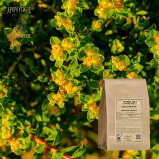 Agrimony herbal tea powdered tops Apophycaire