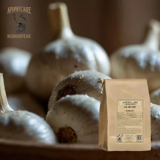 Knoblauchaufguss (Allium sativum) - Apophycaire