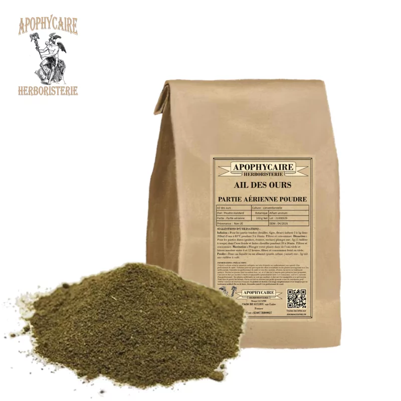 Wild garlic aerial part powder (Allium ursinum) - Apophycaire