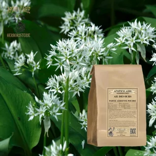 Bärlauch-Kräutertee, oberirdisches Teilpulver