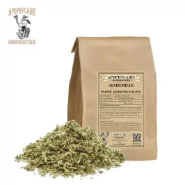 Alchemilla vulgaris, parte aérea cortada - Apophycaire