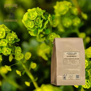 Infusion Alchemille vulgaire