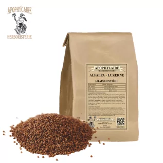 Alfalfa (Lucerne) whole seed (Medicago sativa) - Apophycaire