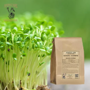 Kräutertee aus Alfalfa-Vollkorn