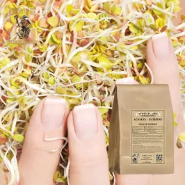 Luzernesamenpulver (Medicago sativa) – Apophycaire