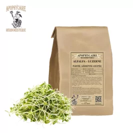 Alfalfa Patie aérienne coupée (Medicago sativa) - Apophycaire