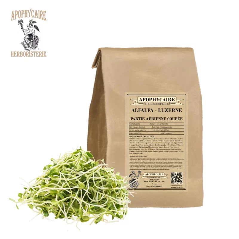 Alfalfa Patie aérienne coupée (Medicago sativa) - Apophycaire