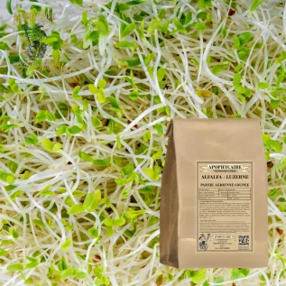 Alfalfa herbal tea Airy pate