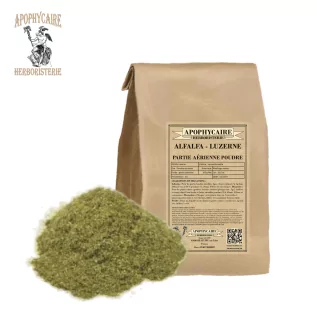 Alfalfa Aerial Patie Powder (Medicago sativa) - Apophycaire