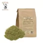Alfalfa Aerial Patie Powder (Medicago sativa) - Apophycaire