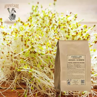 Alfalfa Infusión Airy Patie