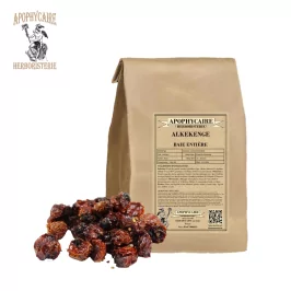 Seerose (Physalis alkekengi) - Apophycaire