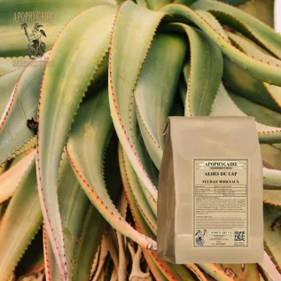 Tisane Aloés d'Afrique du Sud