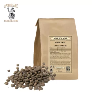 Ambrette seed (Hibiscus abelmoschus) - Apophycaire