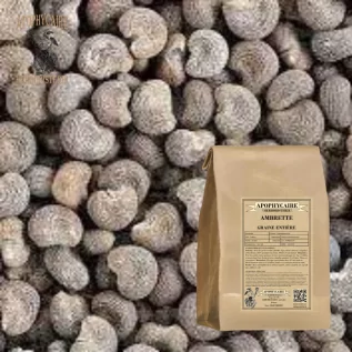 Ambrette seed herbal tea - Apophycaire