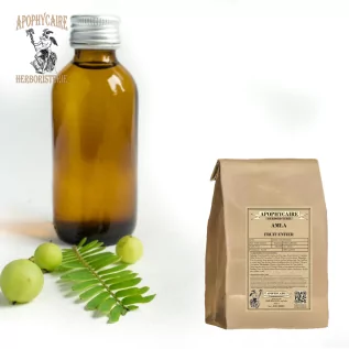 Amla, traditionelles Tonikum, reich an Antioxidantien