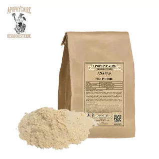 Ananas tige poudre (Ananassa sativa) - Apophycaire