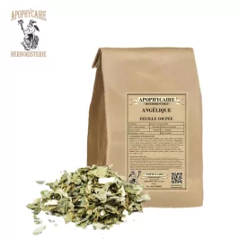 Angélica de hoja cortada (Angelica archangelica) - Boticario