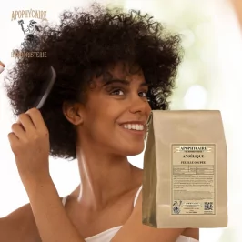 Angélica de hoja cortada (Angelica archangelica) - Boticario