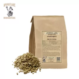 Ganze Engelwurzfrucht (Angelica archangelica) - Apotheker