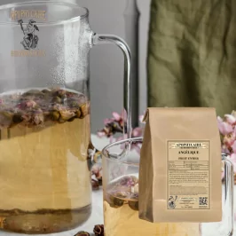 Ganze Engelwurzfrucht (Angelica archangelica) - Apotheker