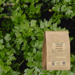 Infusión de anís verde