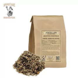 Argentina aerial part cut (Potentilla anserina) - Apophycaire