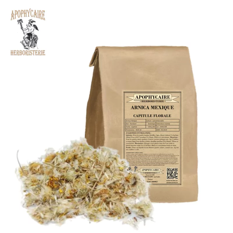 Meksika arnika bütün çiçek başı (Heteroteca inuloides) - Apophycaire