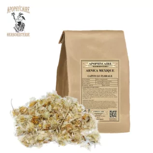 Mexican arnica whole flower head (Heteroteca inuloides) - Apophycaire