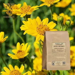 Arnica-based preparation