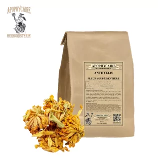 Anthyllis kesme çiçek (Anthyllis vulneraria) - Apophycaire