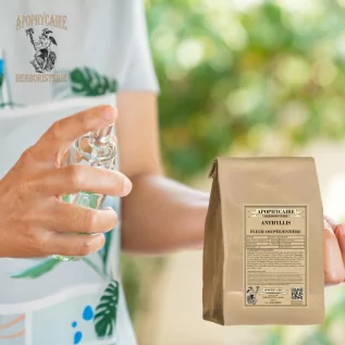 Anthyllis se utiliza como suavizante de la piel y digestivo ligero.