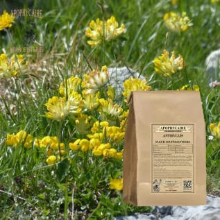 Kräutertee aus Schnittblumen des Wundklees (Anthyllis vulneraria) - Apophycaire