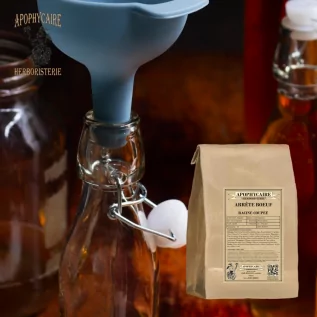 Arrête boeuf racine coupée (Ononis spinosa) - Apophycaire