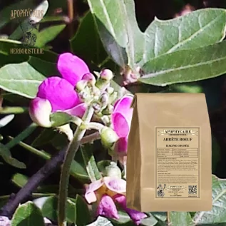 tisane Arrête boeuf racine coupée (Ononis spinosa) - Apophycaire