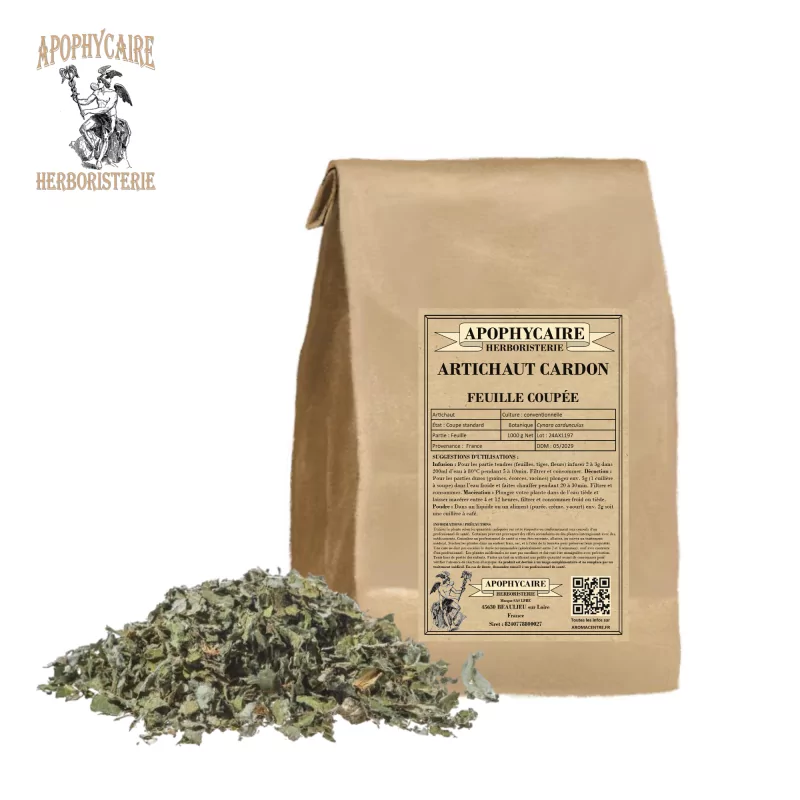 Artischocken-Kardone, geschnittenes Blatt (Cynara cardunculus) - Apophycaire